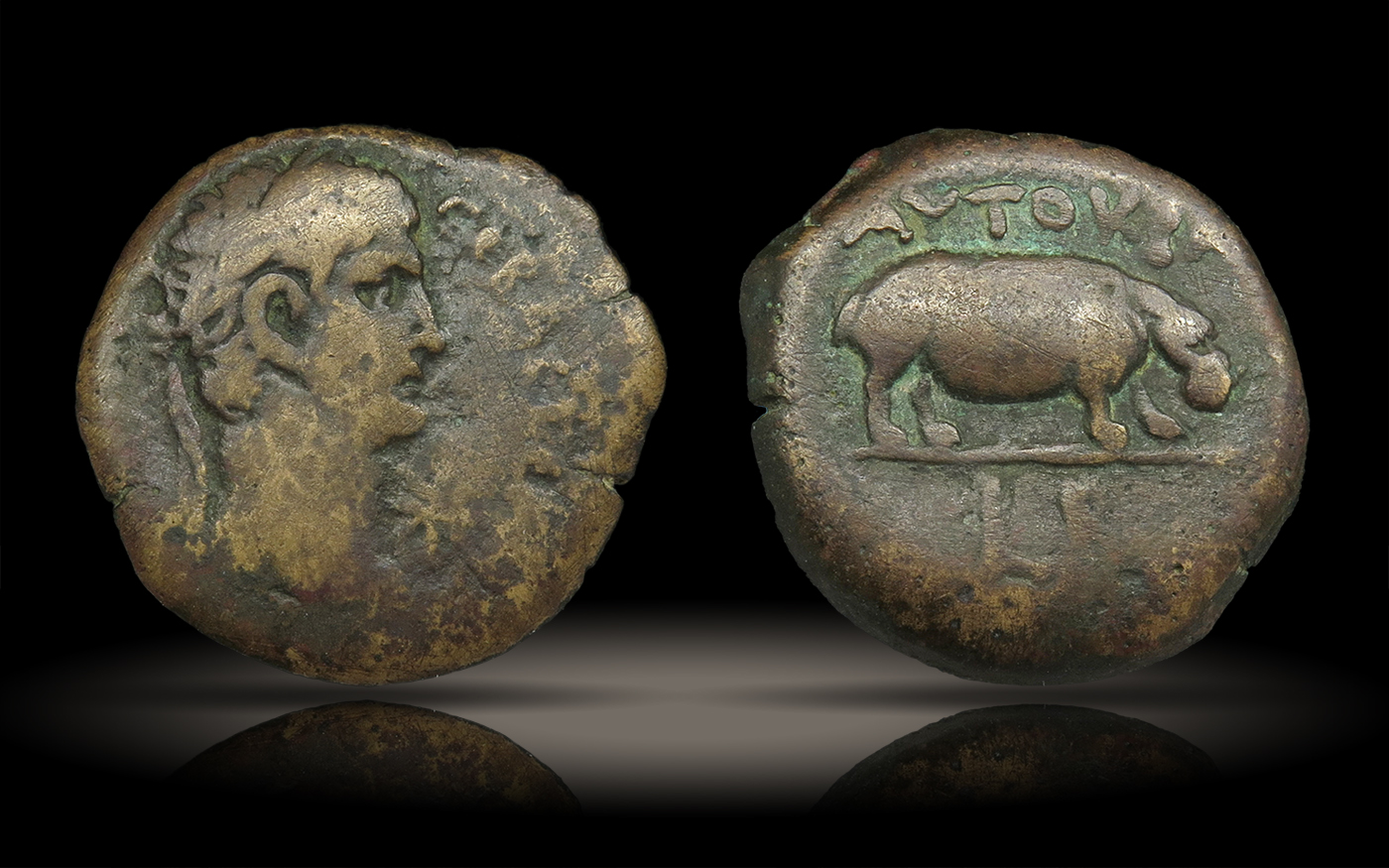 ClaudiusDiobolHippo-RT.jpg