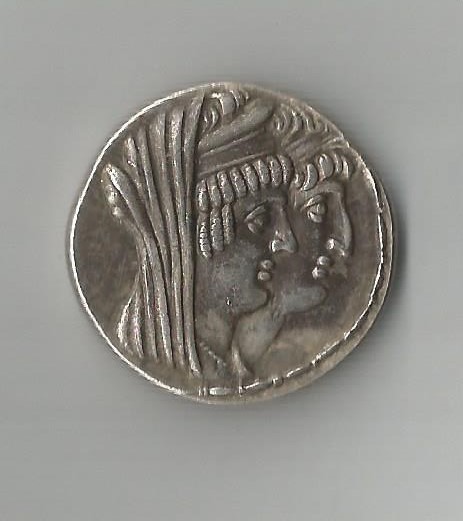 CleoAnt O 001.jpg