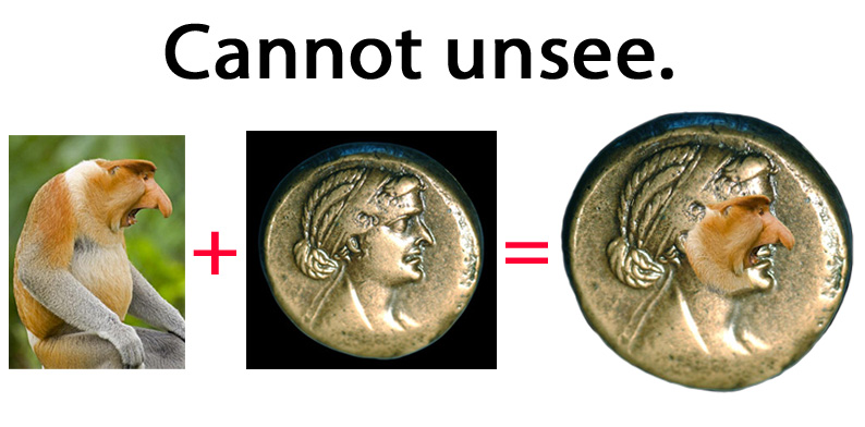 CleoMonkeyEquation.jpg