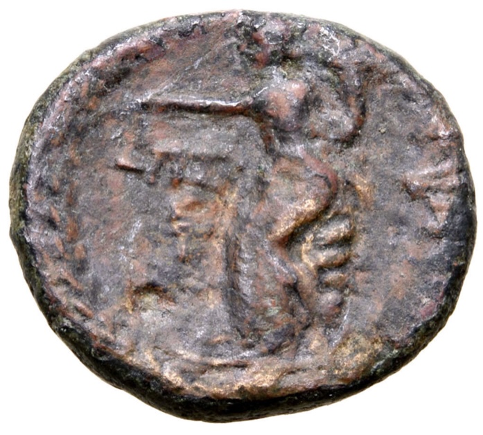 Cleopatra Tyche Damascus mint Rev.jpg