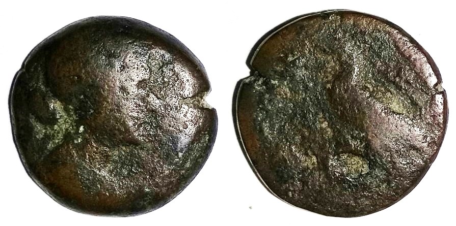 Cleopatra VII 40 drachma.jpg