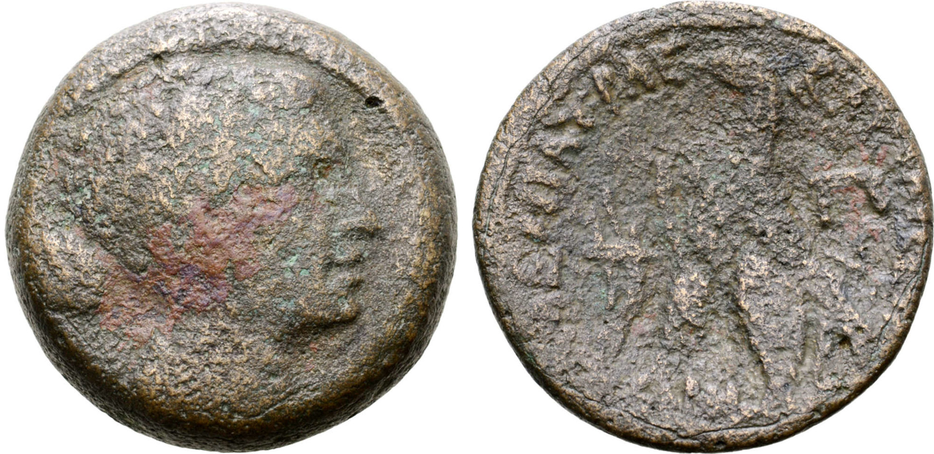 Cleopatra VII 80 Drachmae Obv.jpg