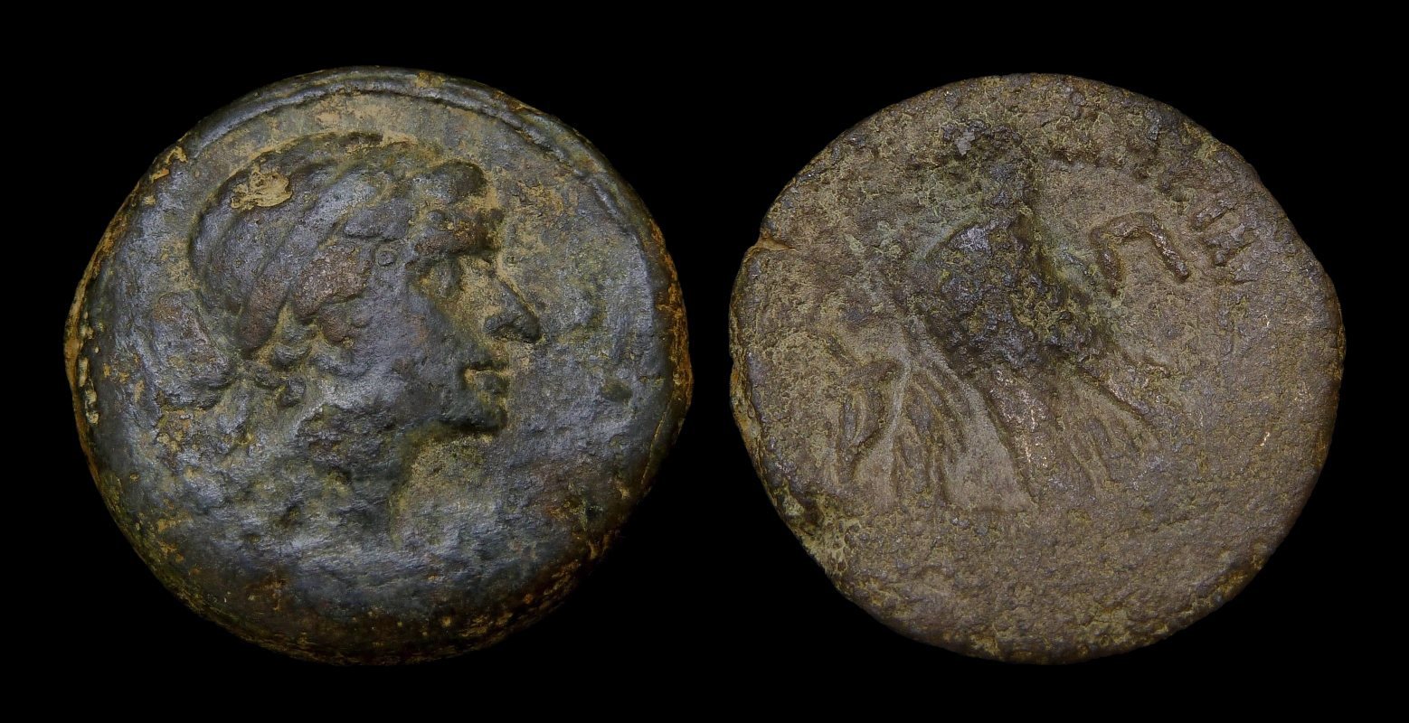Cleopatra VII - AE 80 Drachmai 2911.jpg
