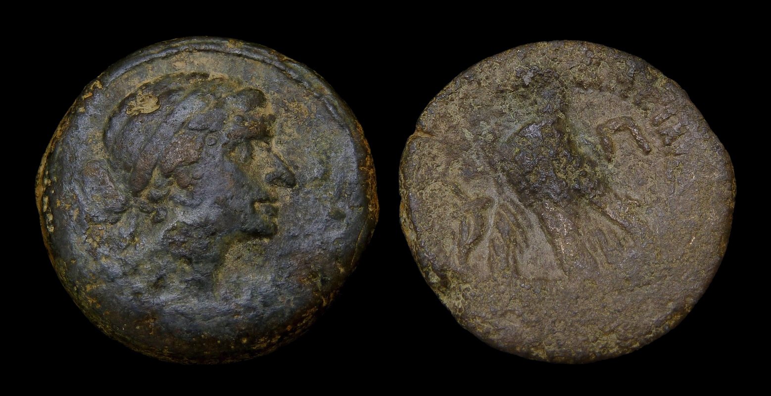 Cleopatra VII - AE 80 Drachmai 2911.jpg