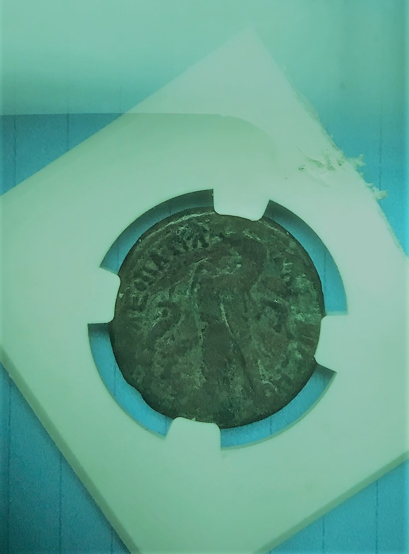 cleoptra reverse.jpg