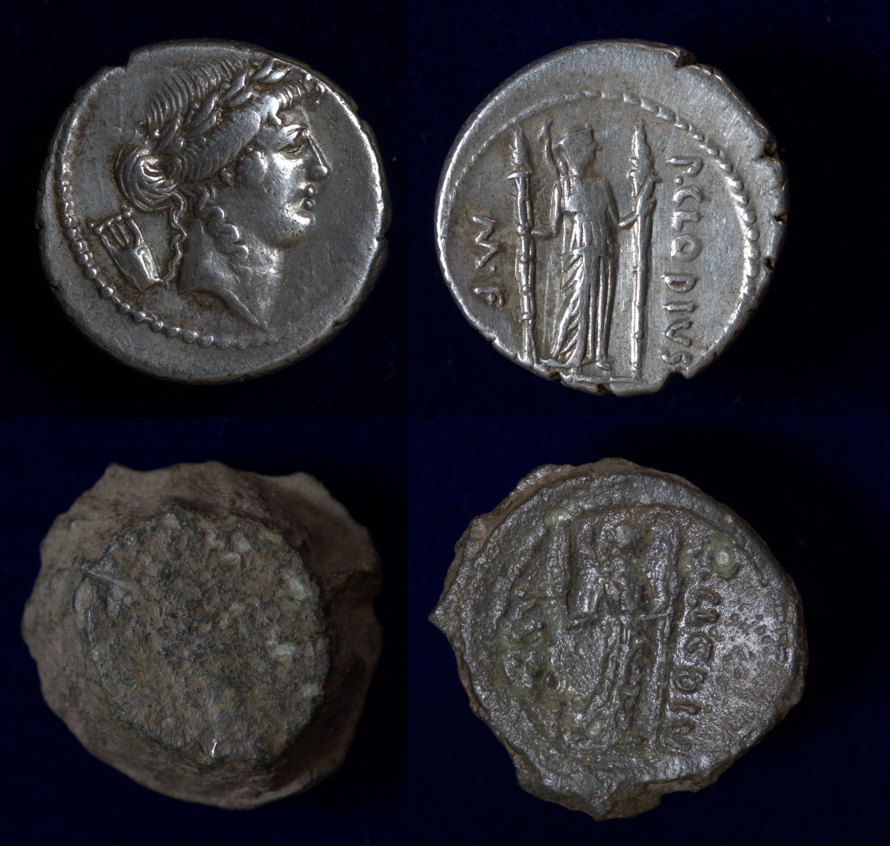 Clodius AE Squeeze.jpg