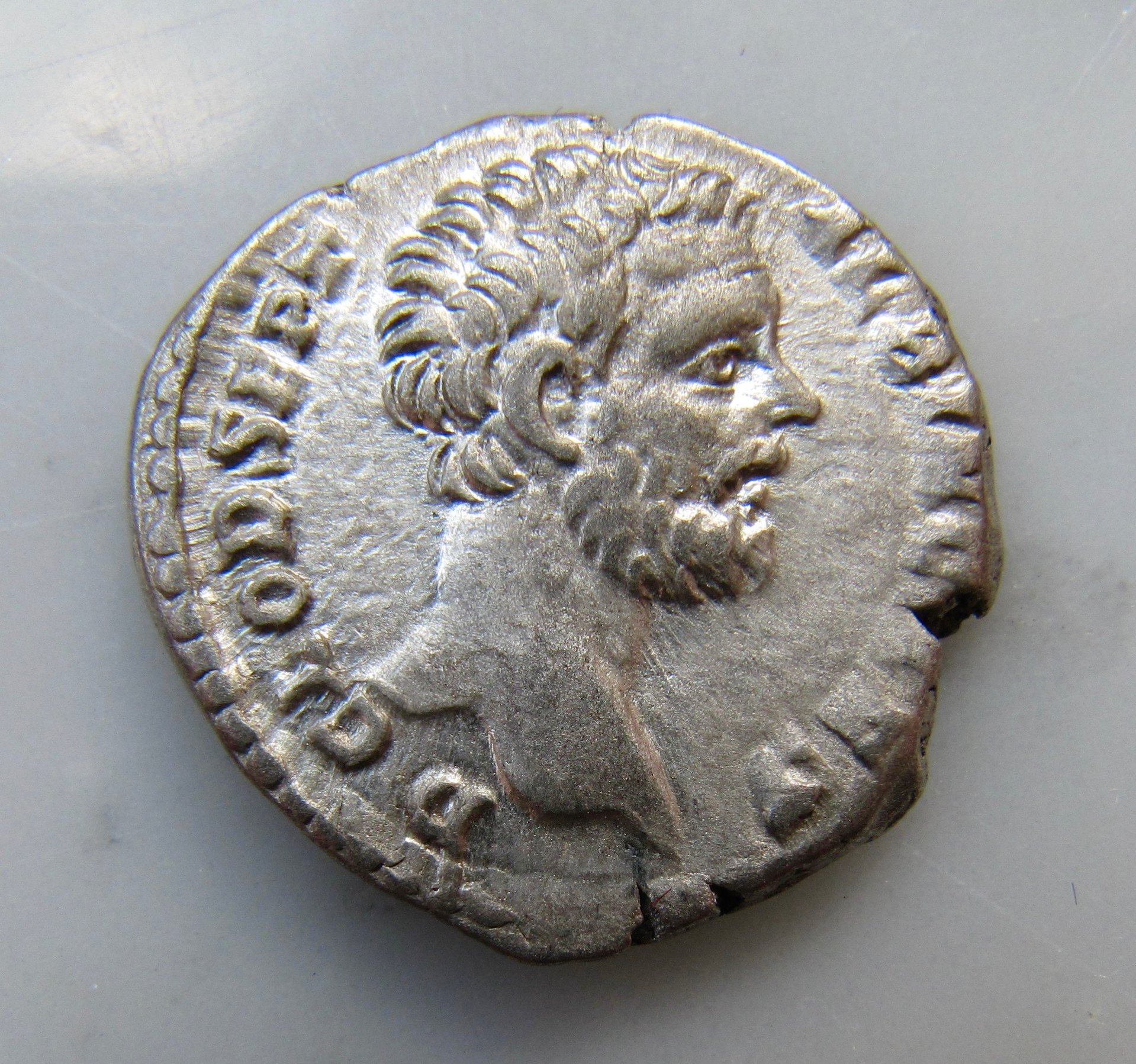 Clodius Albinus denarius-minerva-obv - 1.jpg