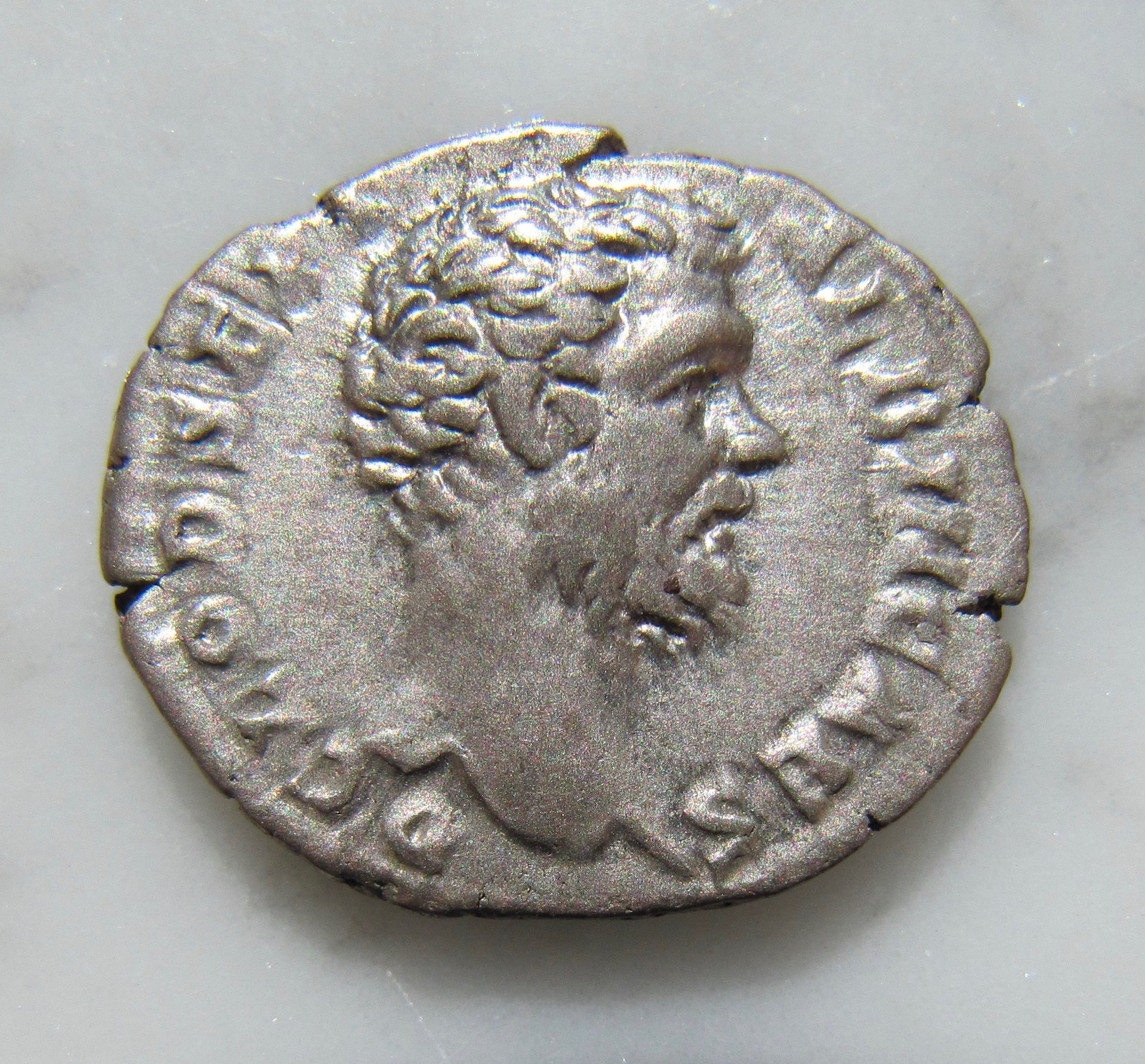 Clodius Albinus denarius-Roma-Obv - 1.jpg