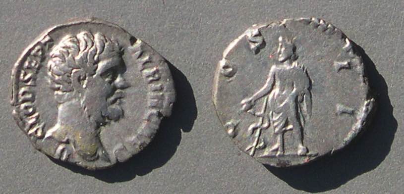 ClodiusAlbinusCOSII8039.jpg