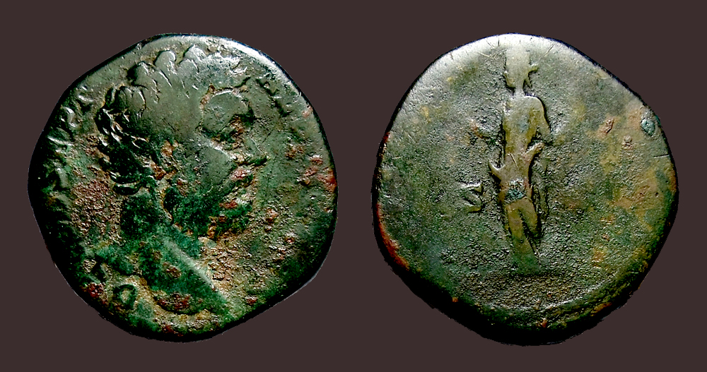 ClodiusAlbinusSest.jpg