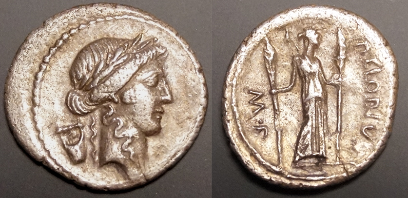 ClodiusTurrinus.png