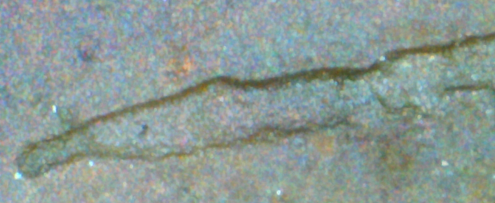 Close 1a.jpg