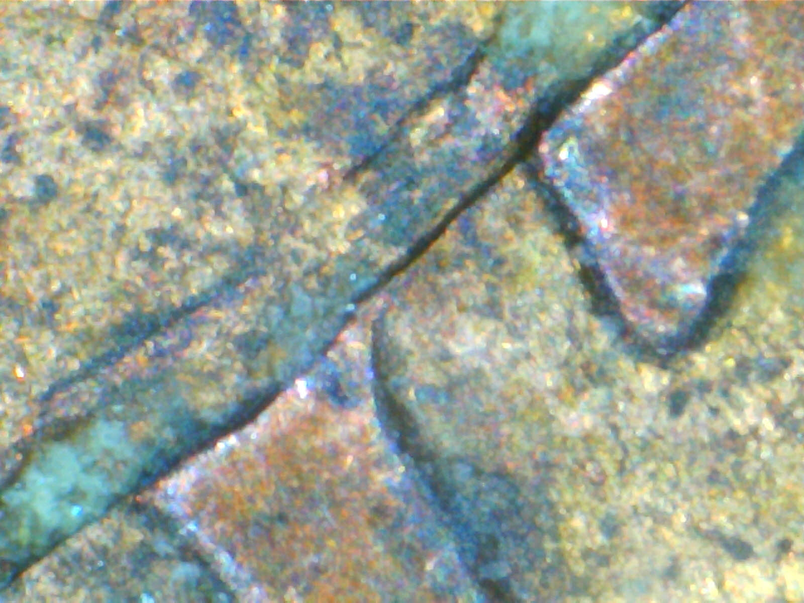 Close 6a.jpg