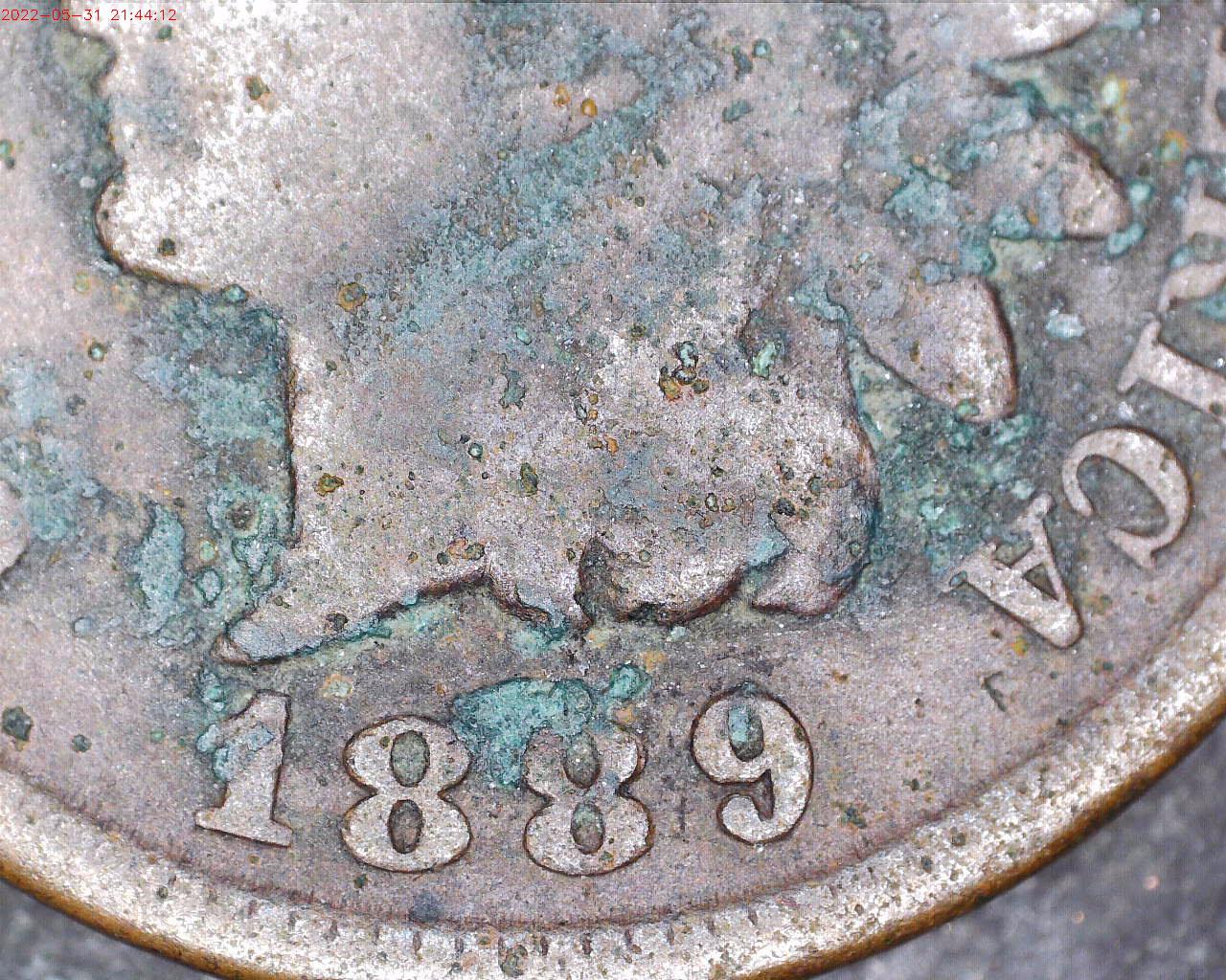 close up.jpg