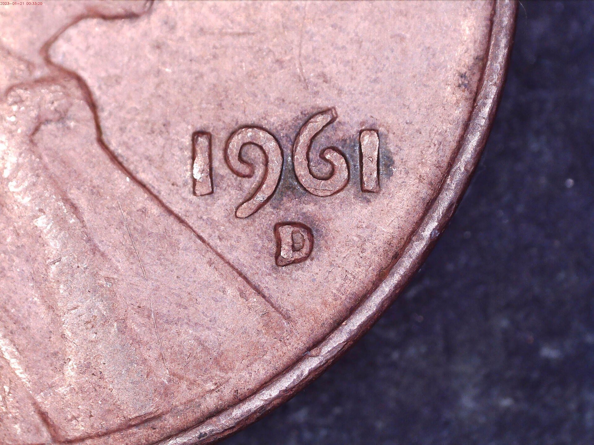 Close up.jpg