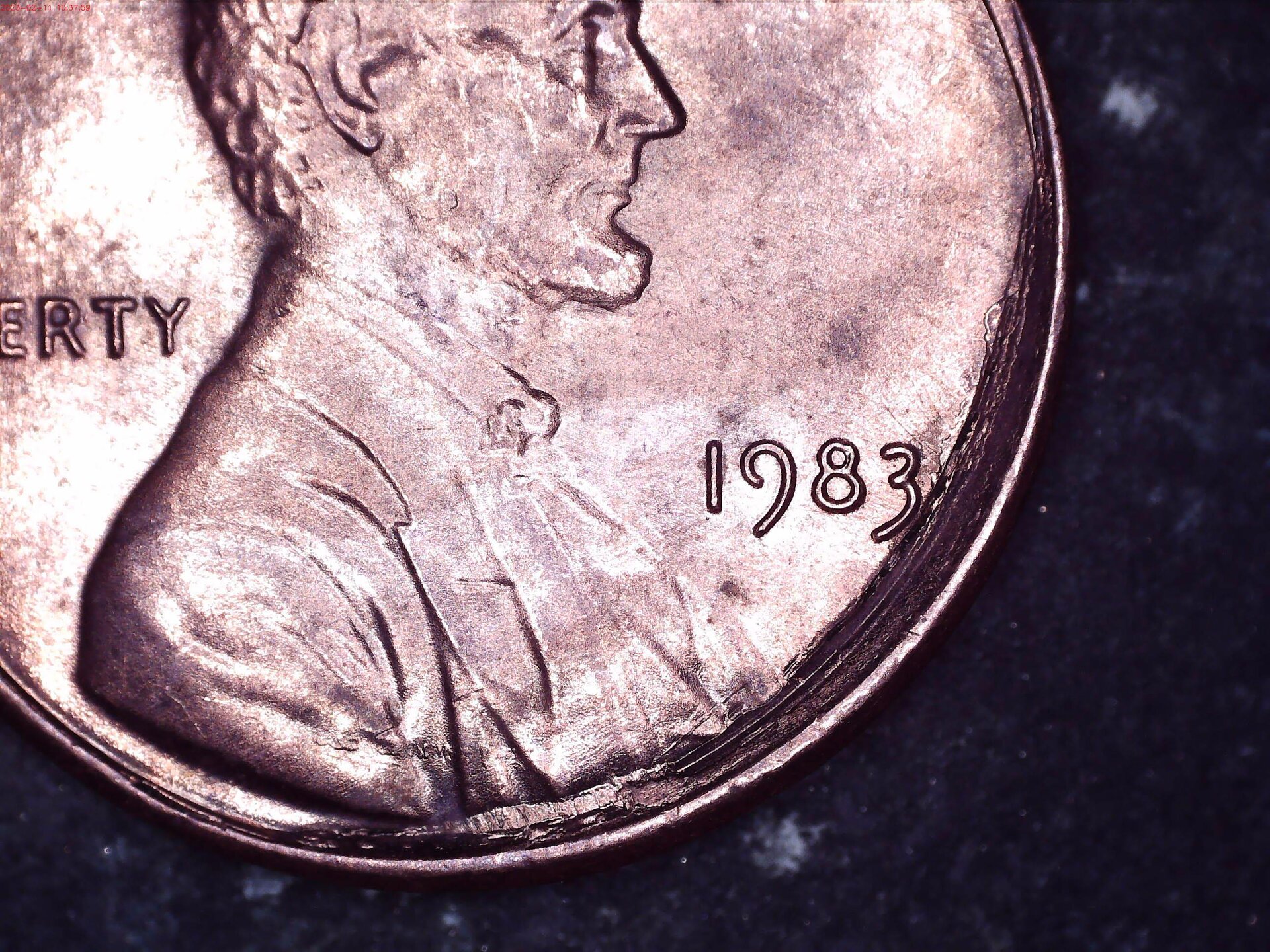 Close up.jpg