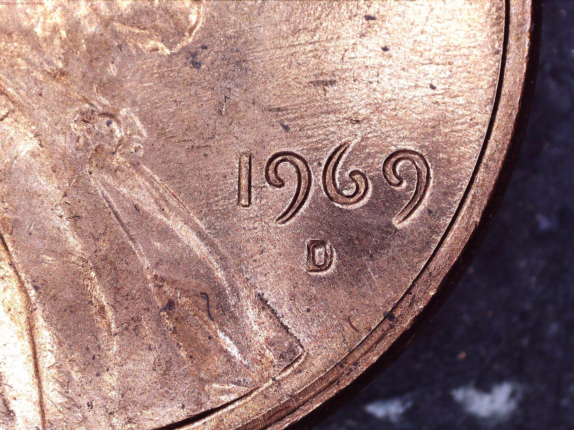 Close up.jpg