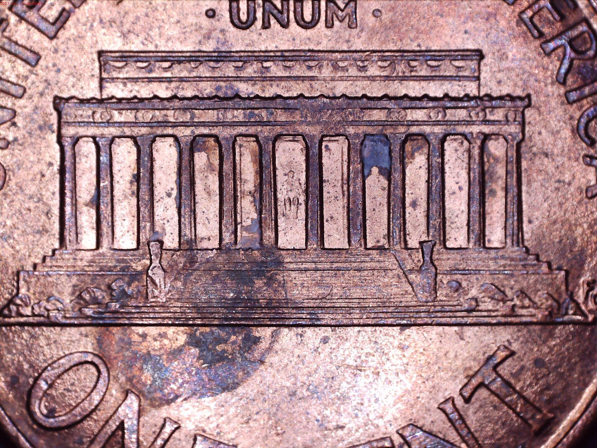 Close up.jpg