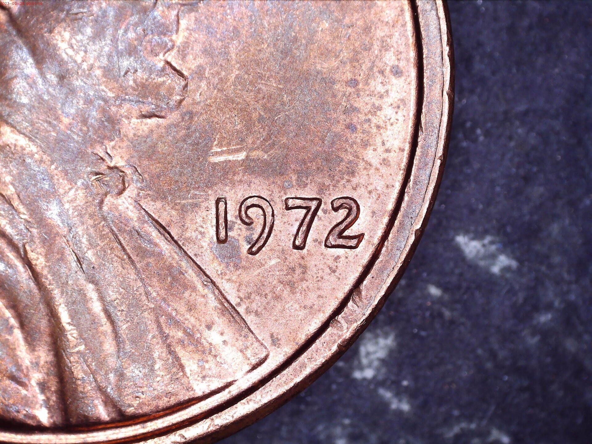 close up.jpg