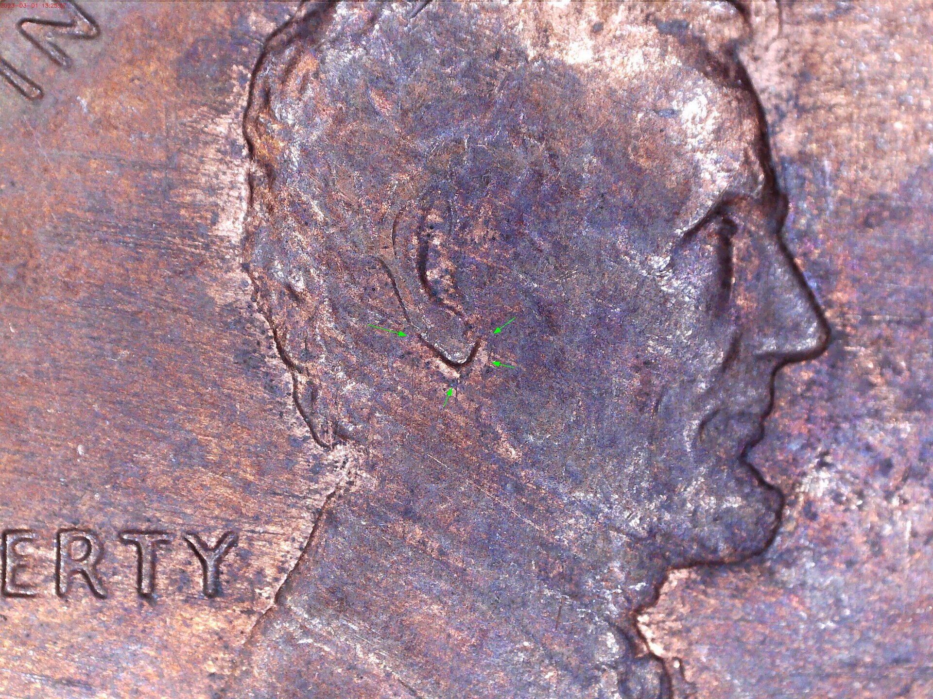 Close up.jpg
