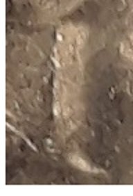 close up of dime struck through.jpg