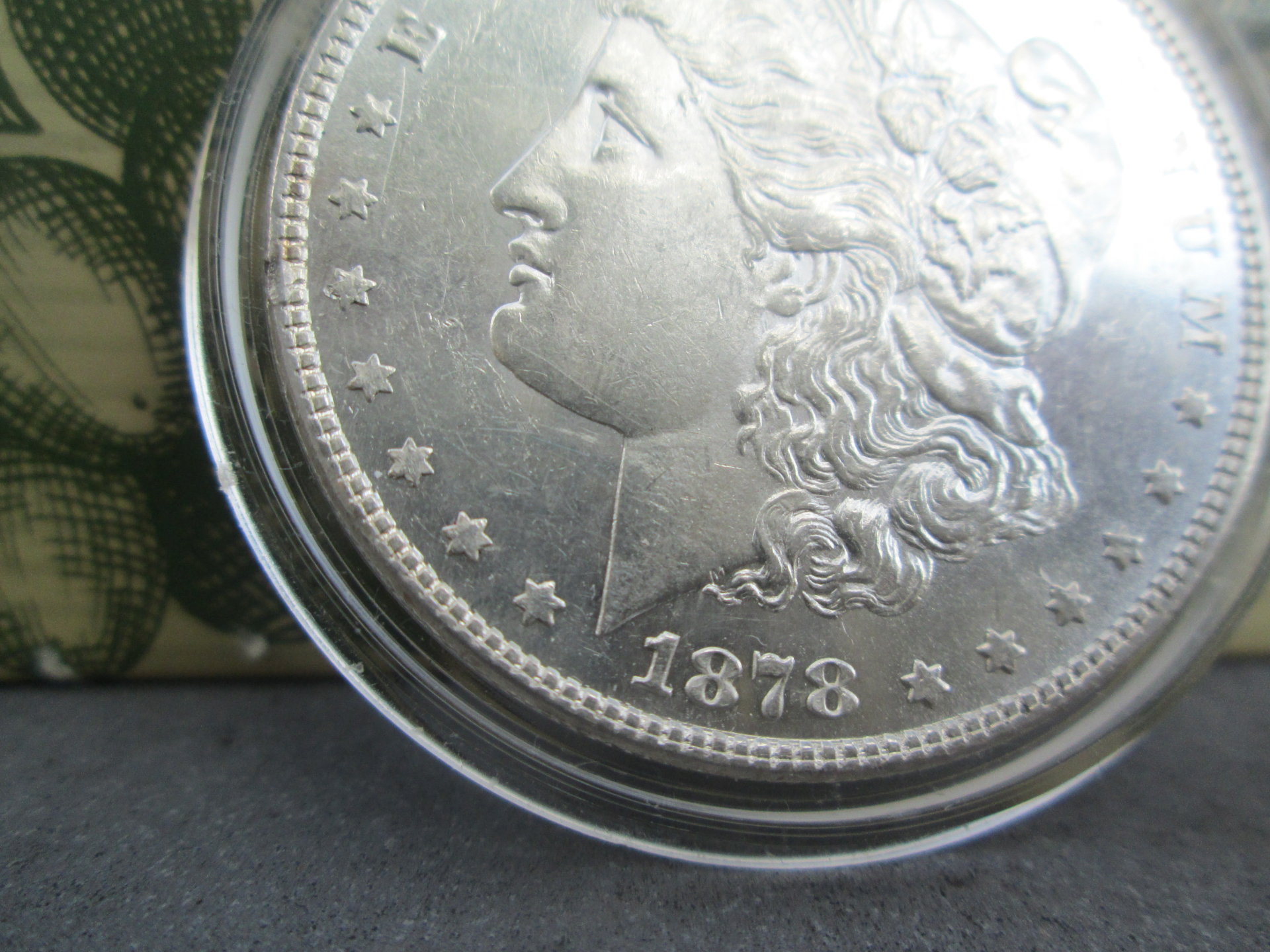 closeup 004.JPG