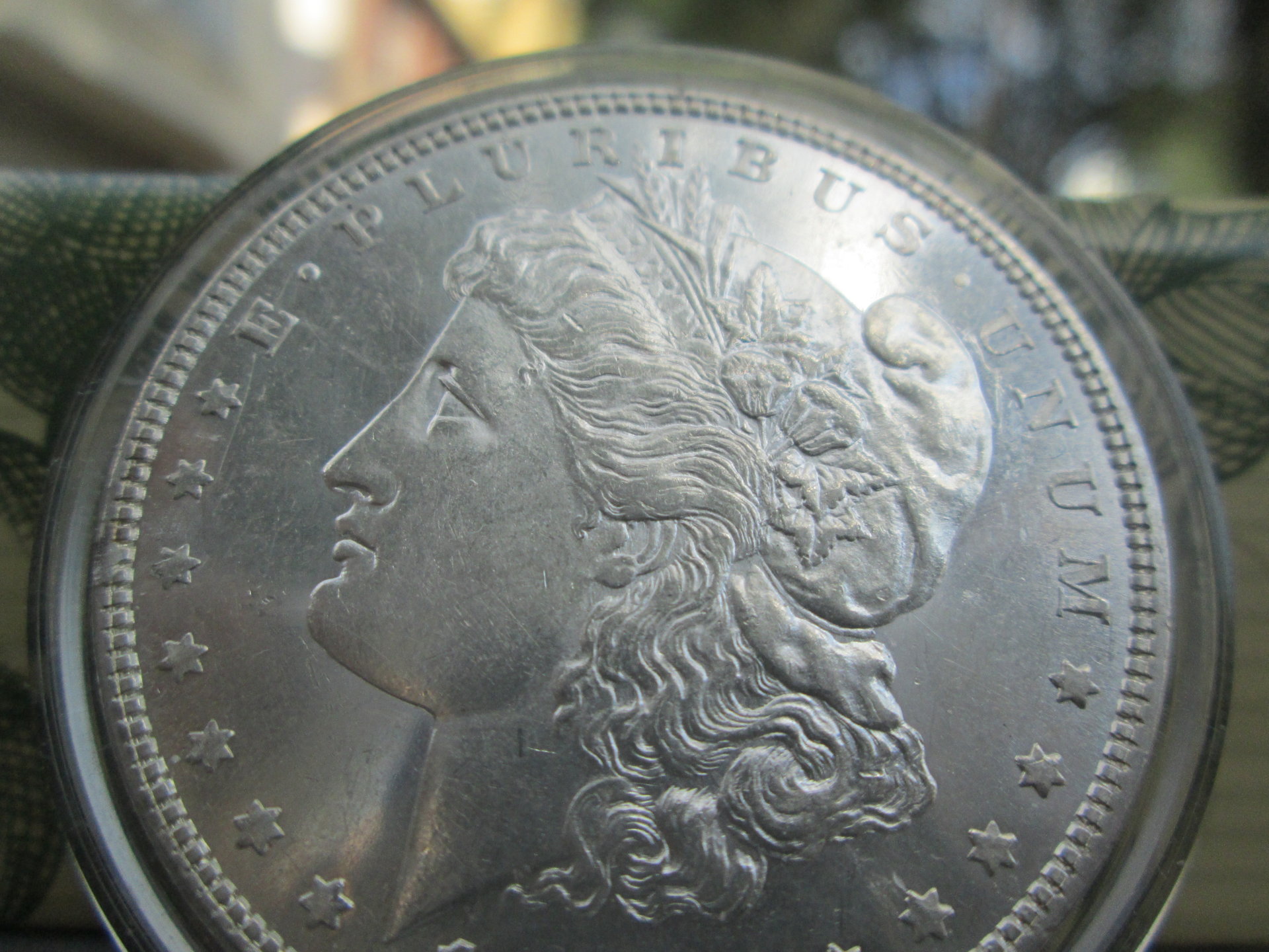 closeup 007.JPG