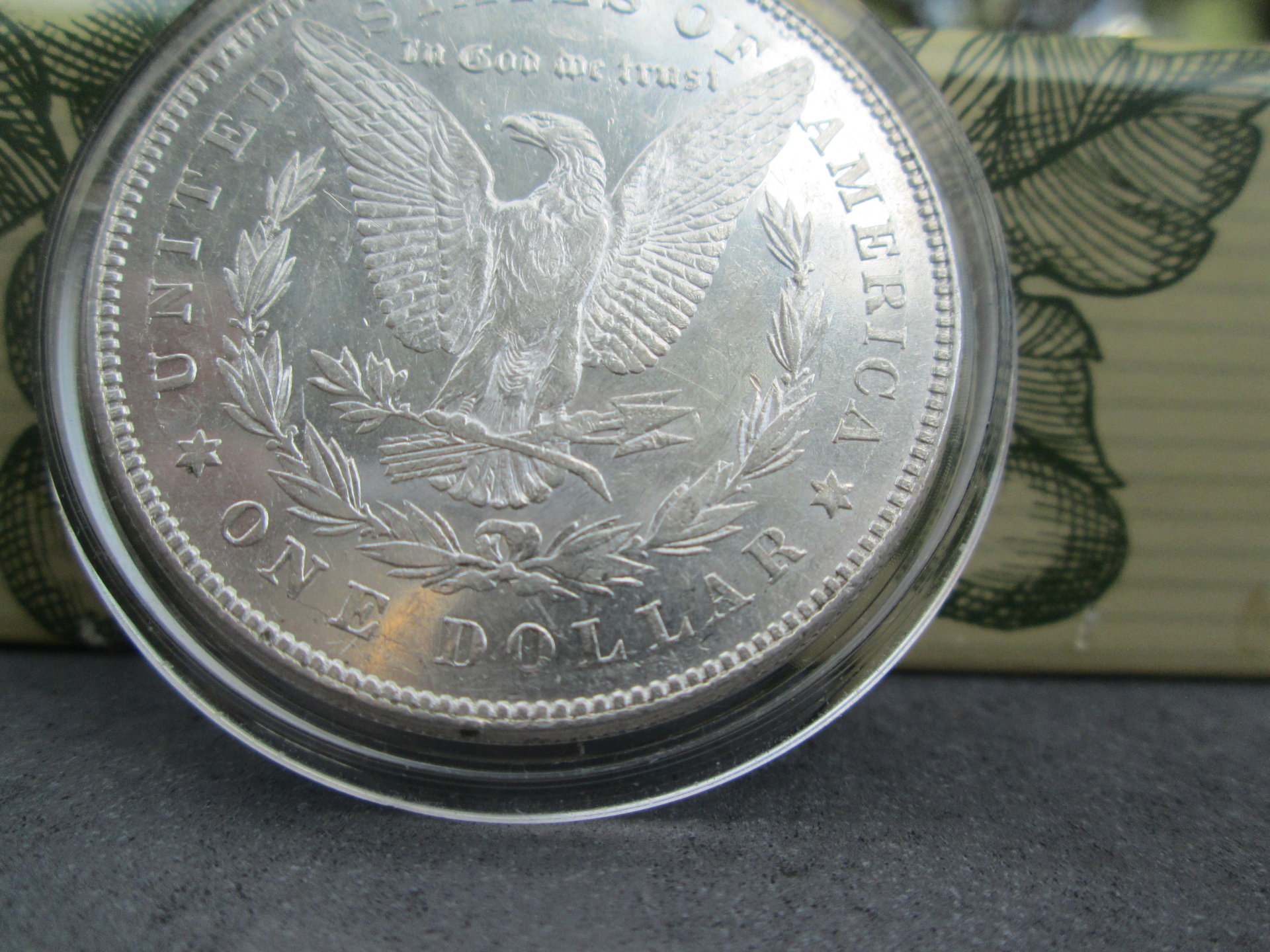 closeup 008.JPG