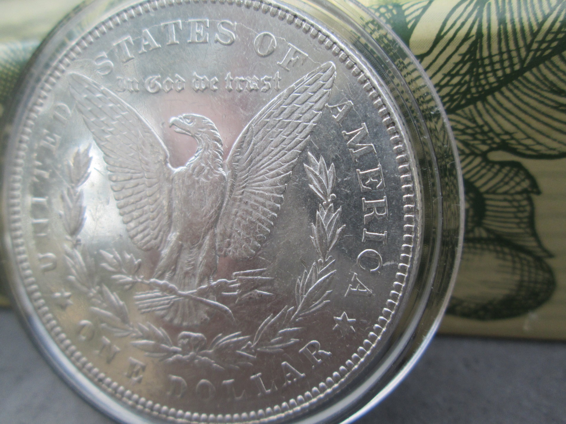 closeup 010.JPG