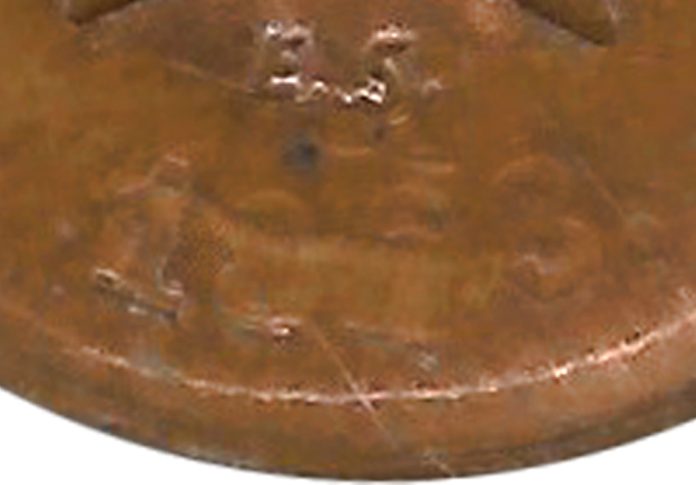 closeup.jpg