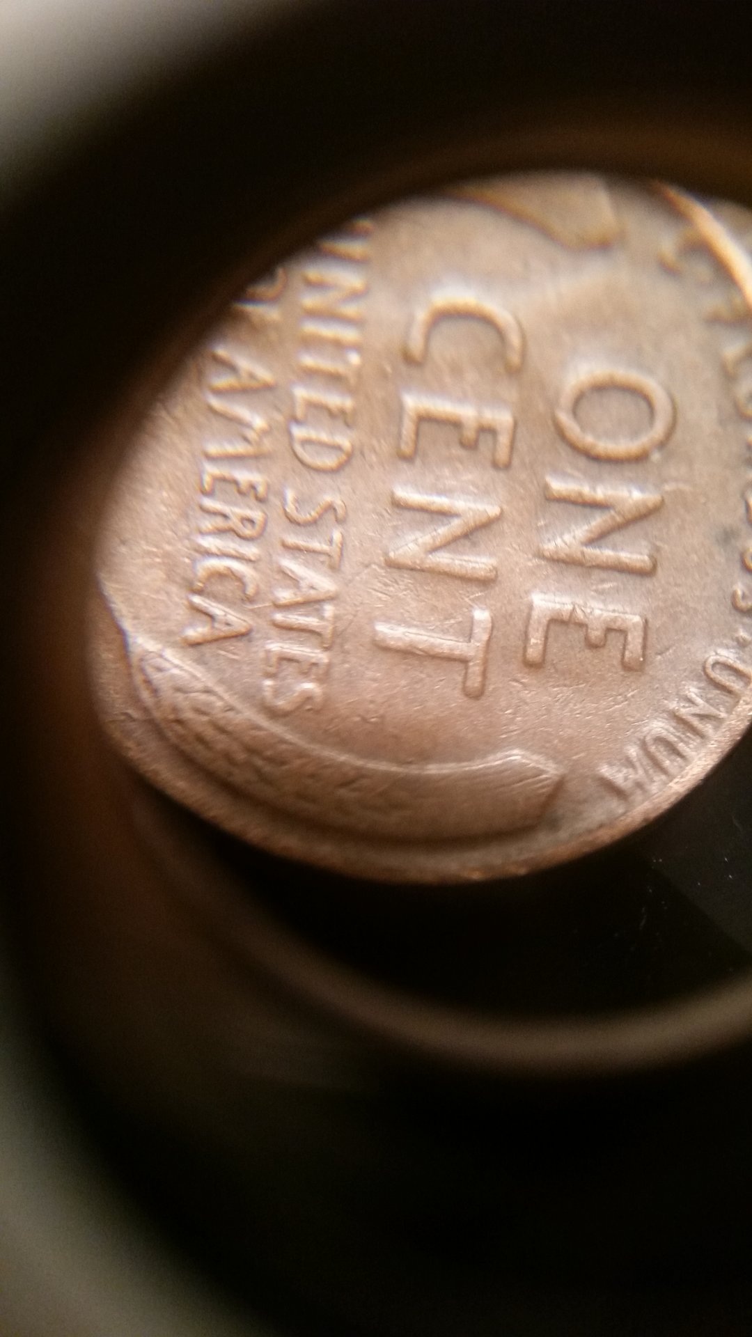 CloseUp.jpg