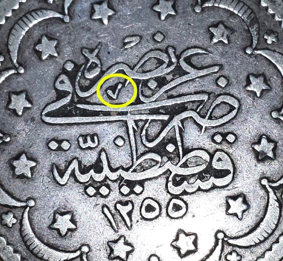 closeup.jpg