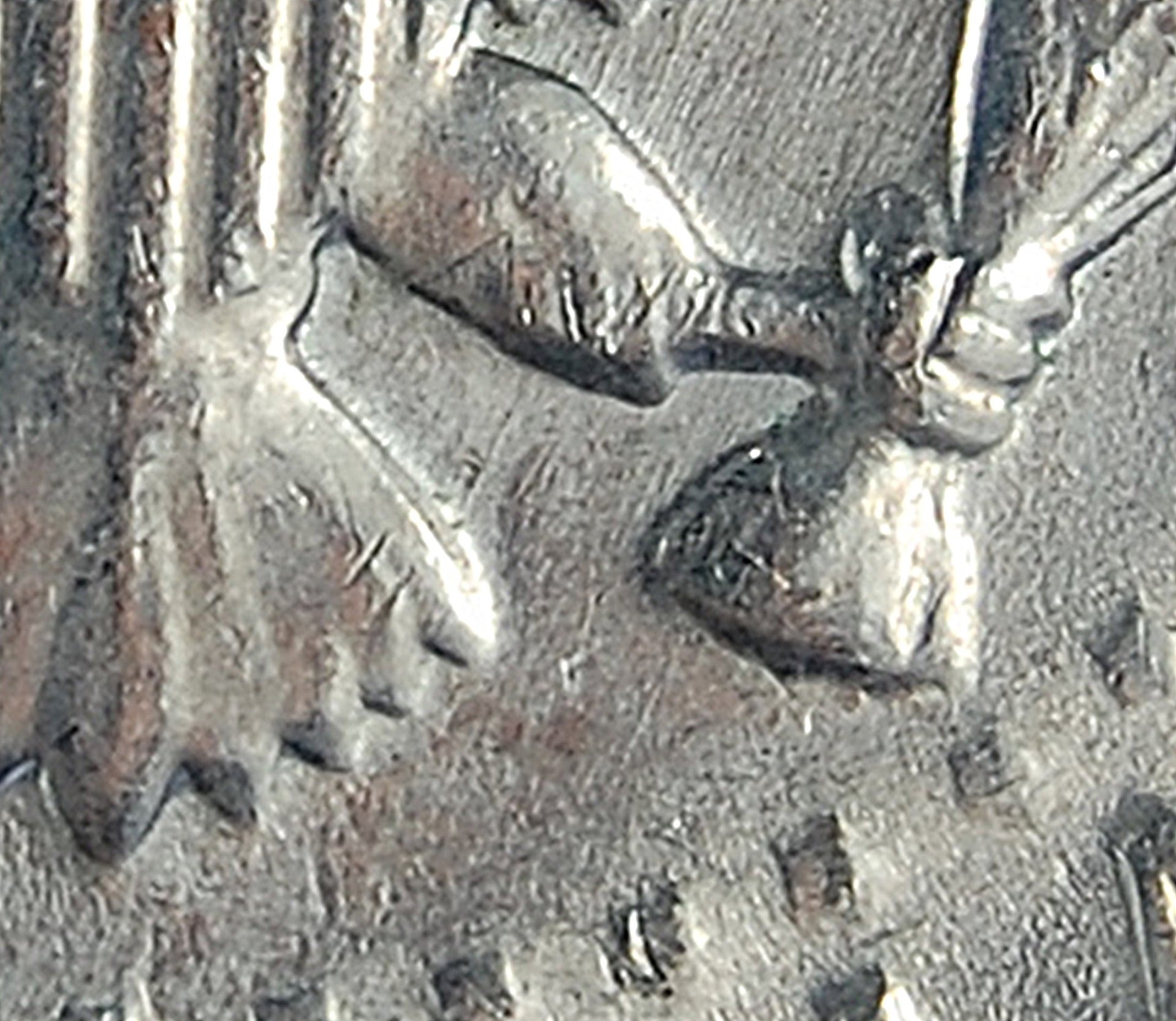CLOSEUP NO FG.JPG