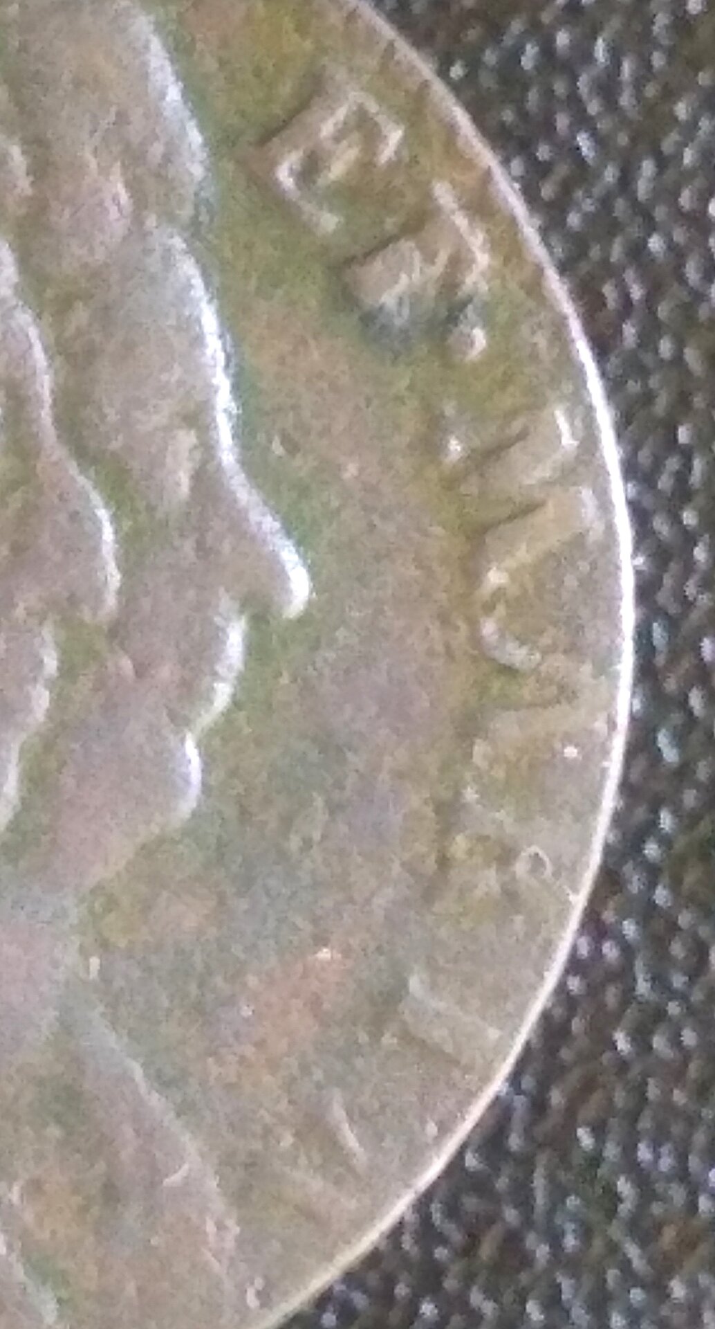closeup1694.jpg