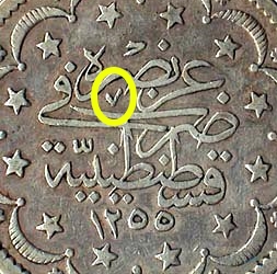 closeup2.jpg