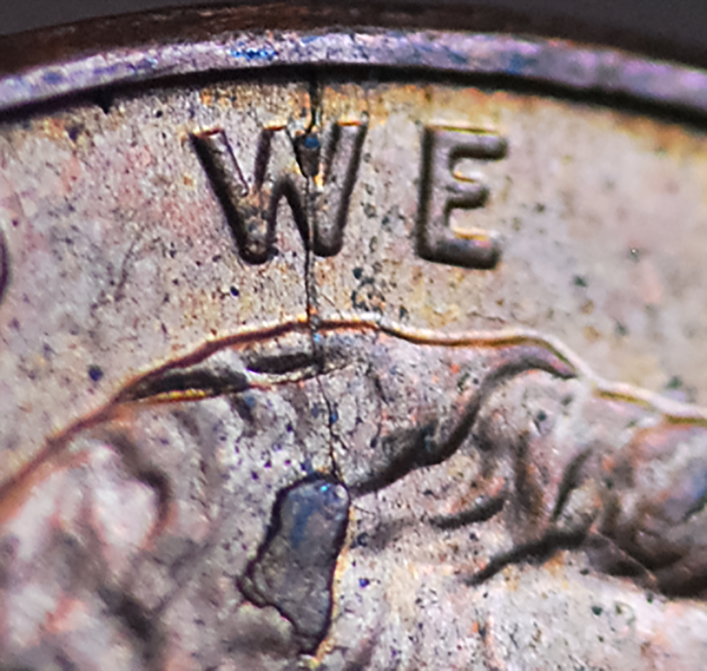 closeup3.jpg