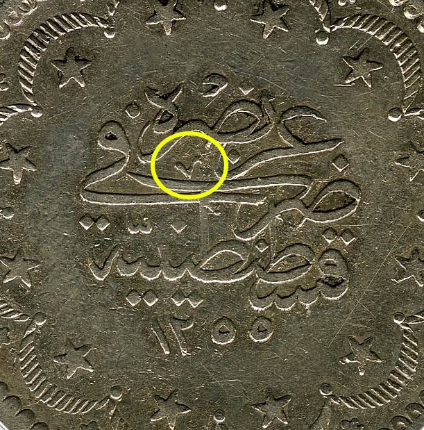 closeup3.jpg