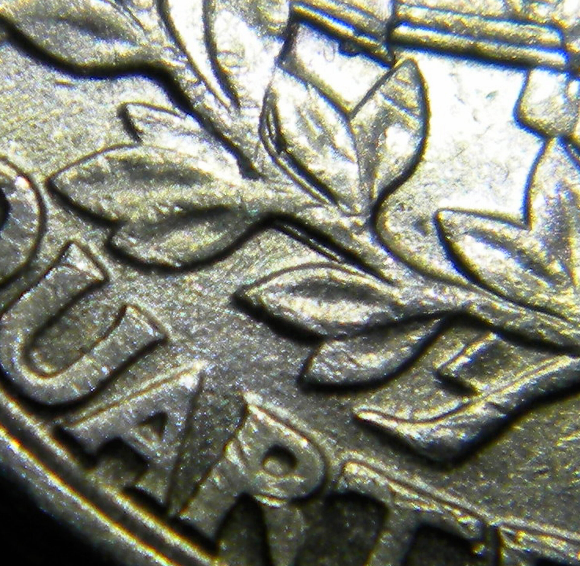 Closeup4.jpg