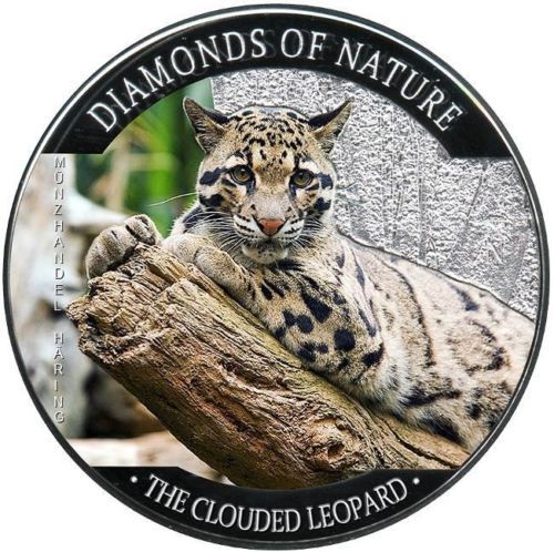 clouded_leopard__42631.1397004655.jpg