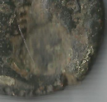 CM 600.jpg