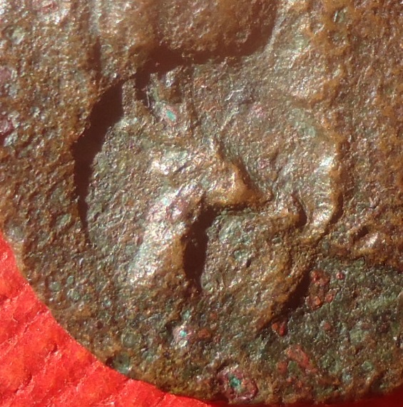 CM - Antigonas Gonatas Deer head Dec 2020 (0det).jpg