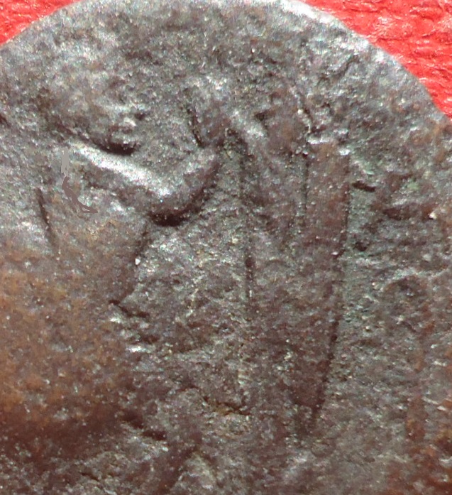 CM - Antigonas Gonatas Pan tenb Jan 2020 (0det).jpg