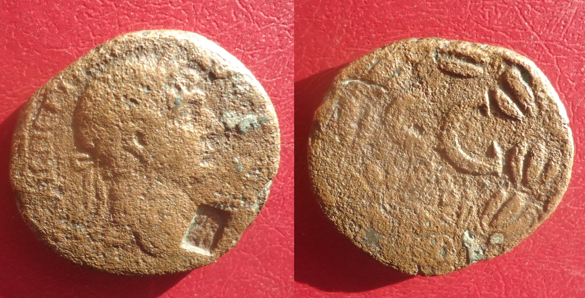 CM - Antioch Laurels on Trajan SC Nov 2020 (0).jpg