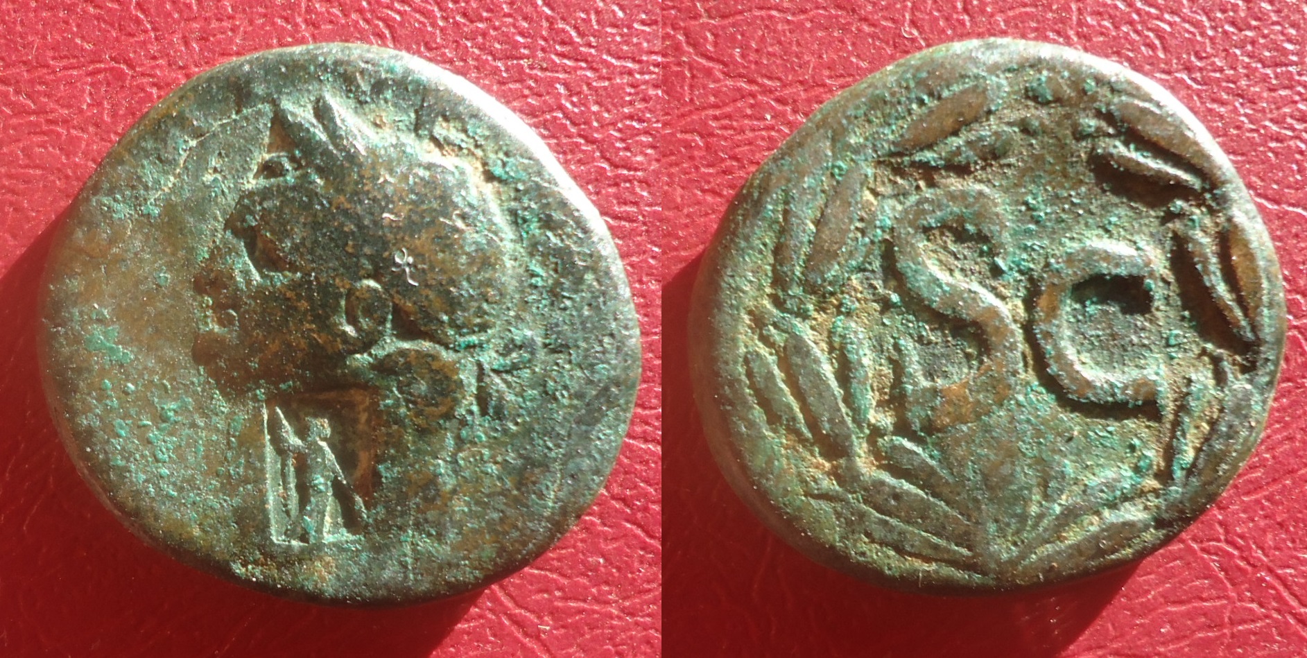 CM - Antioch Minerva Domit on Vesp SC Nov 2020 (0).jpg