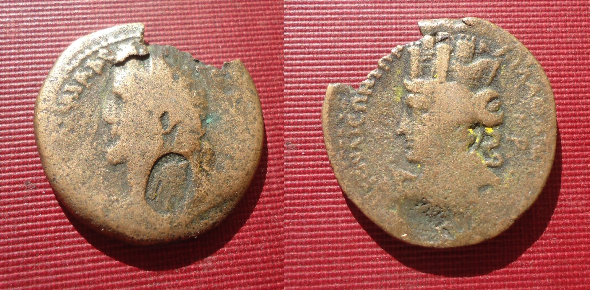 CM - Antoninus Pius - Syria cm Aug 18 (1).jpg