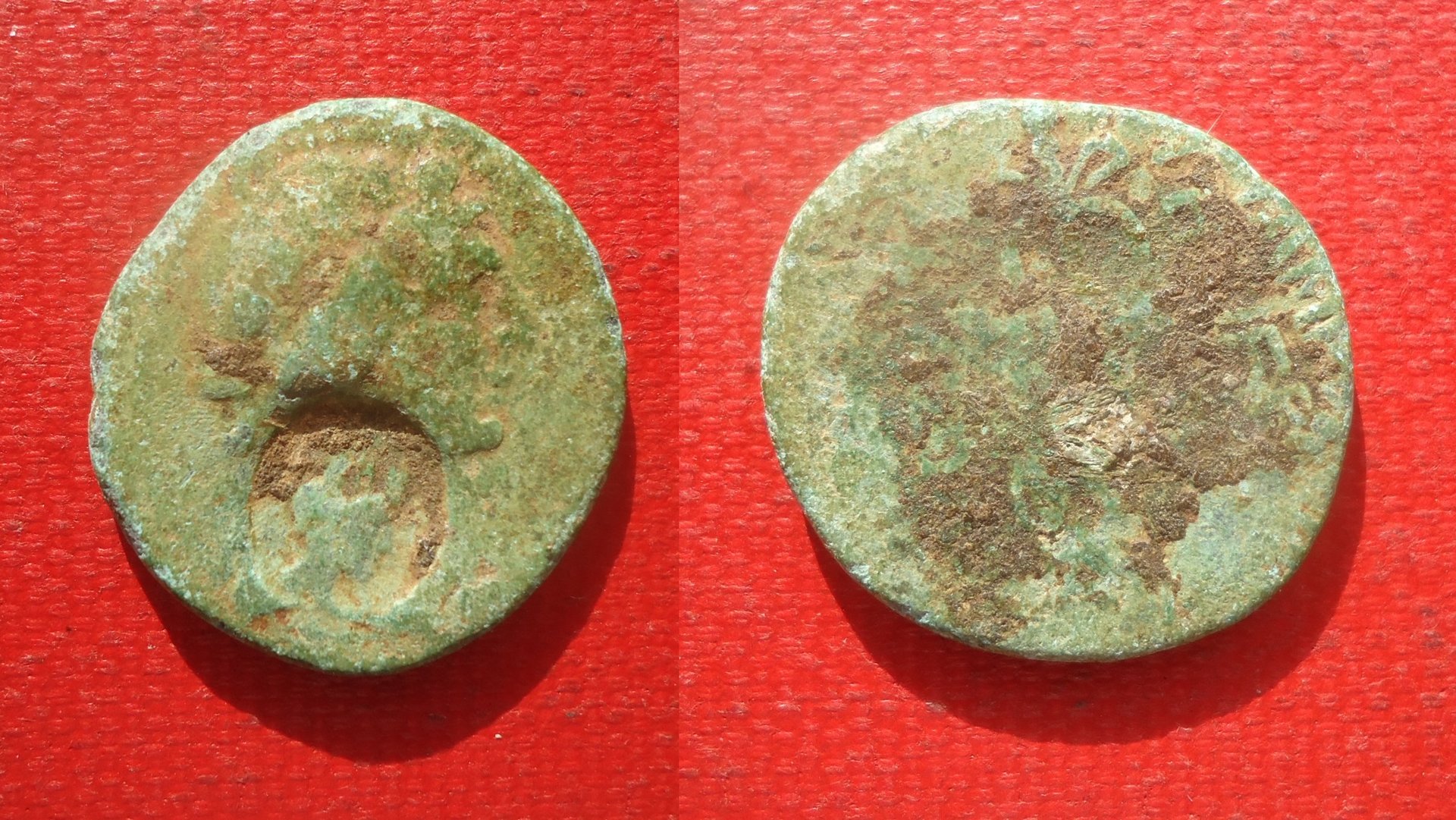 CM - Apamea Tyche Lot Jan 2020 (0).jpg