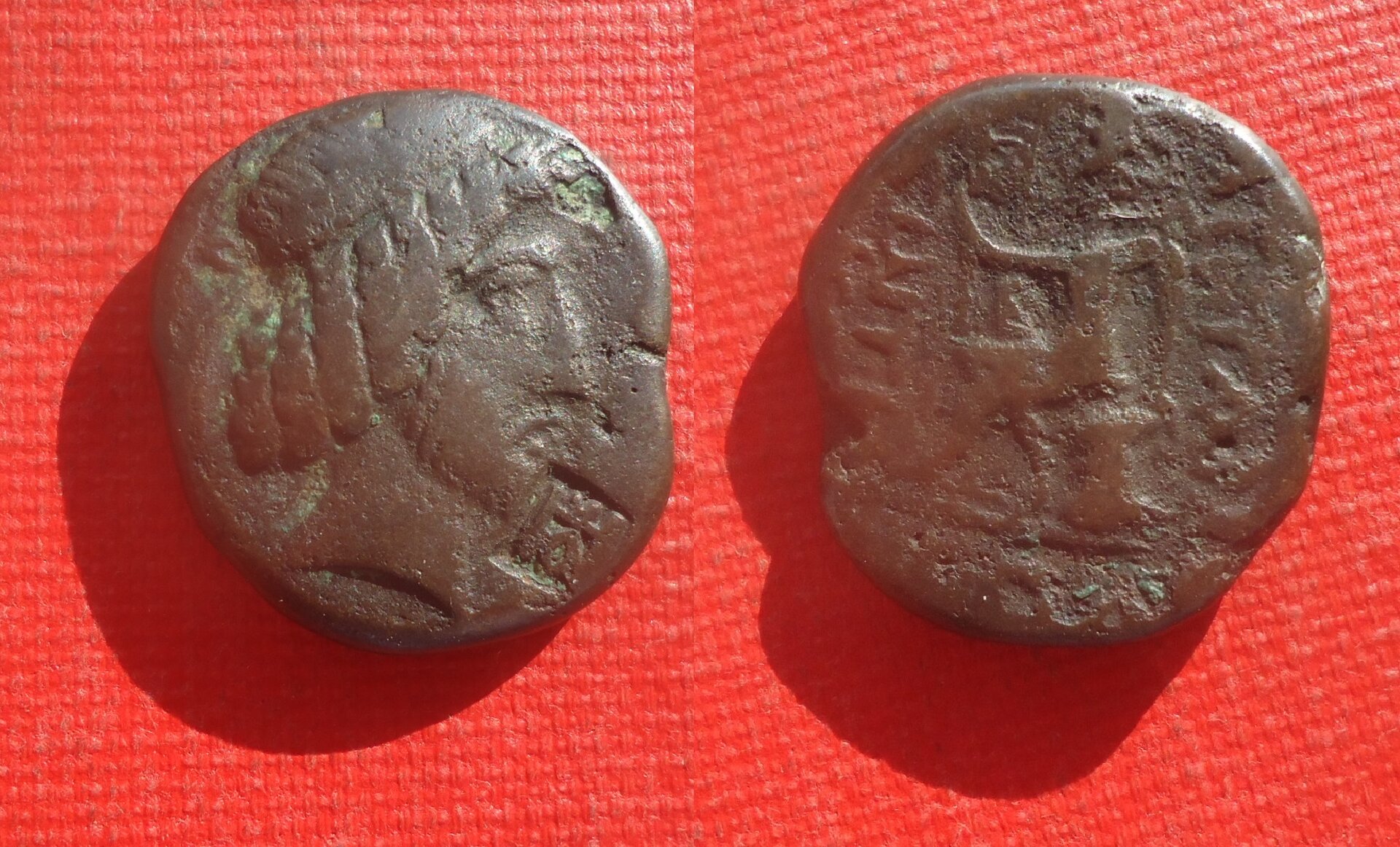 CM - Characene Tet.  Mar 2021 (0).jpg