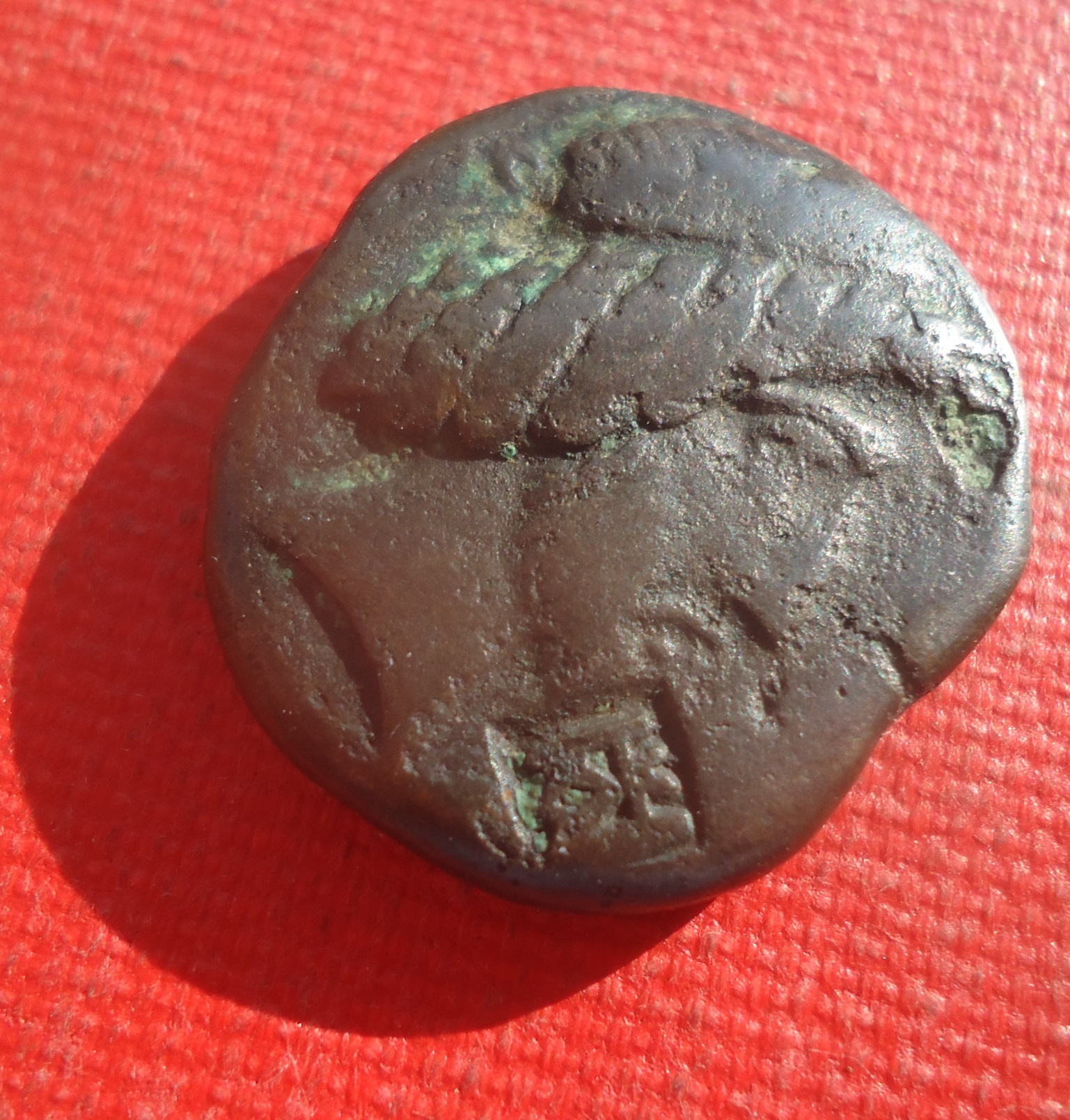 CM - Characene Tet.  Mar 2021 (0det).jpg