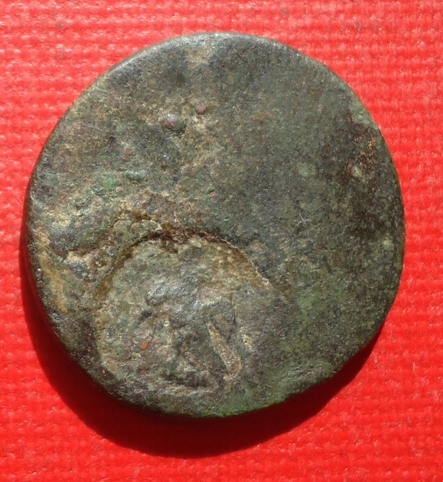 CM - Eagle Unk June 2019 lot (1).jpg