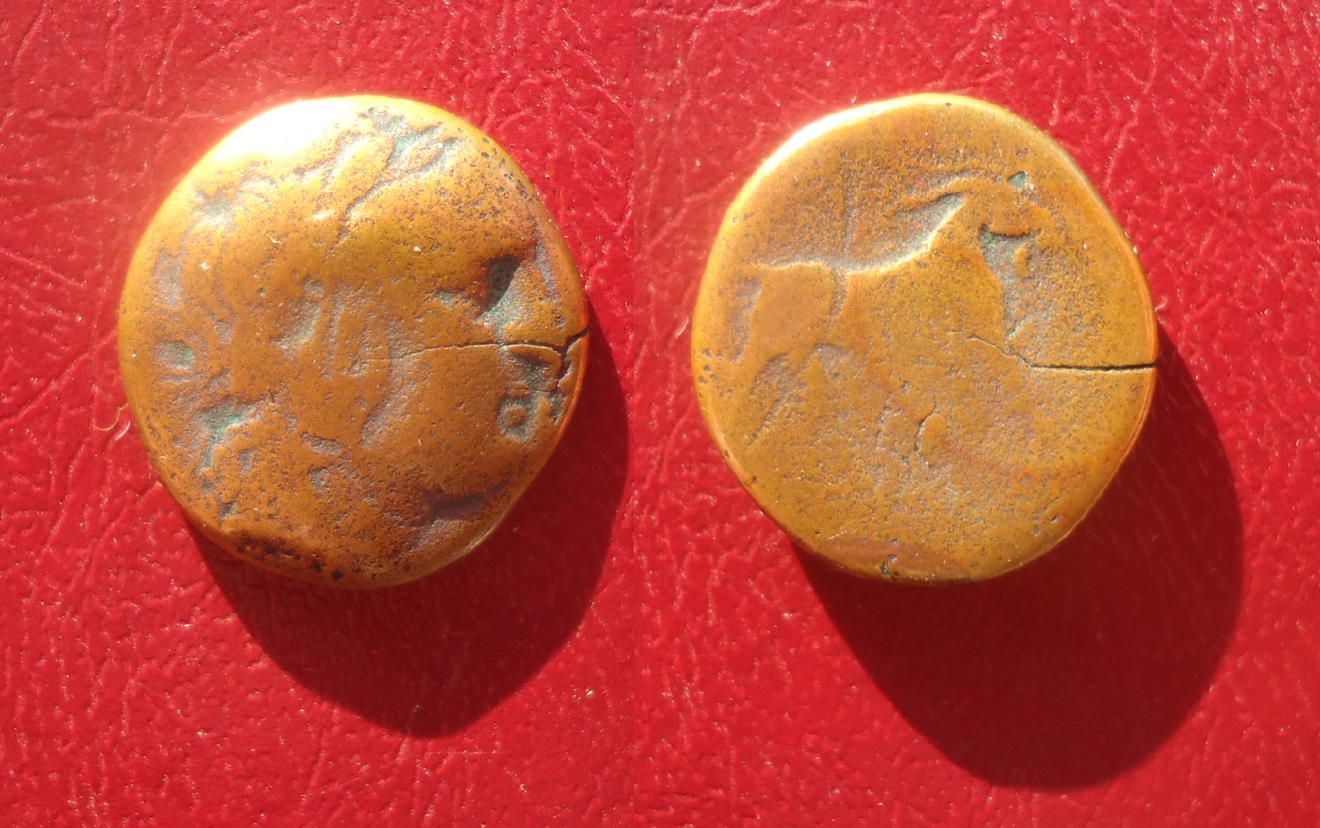CM - Lyre on Aeolis Agaia AE Apr 2020 (0).jpg